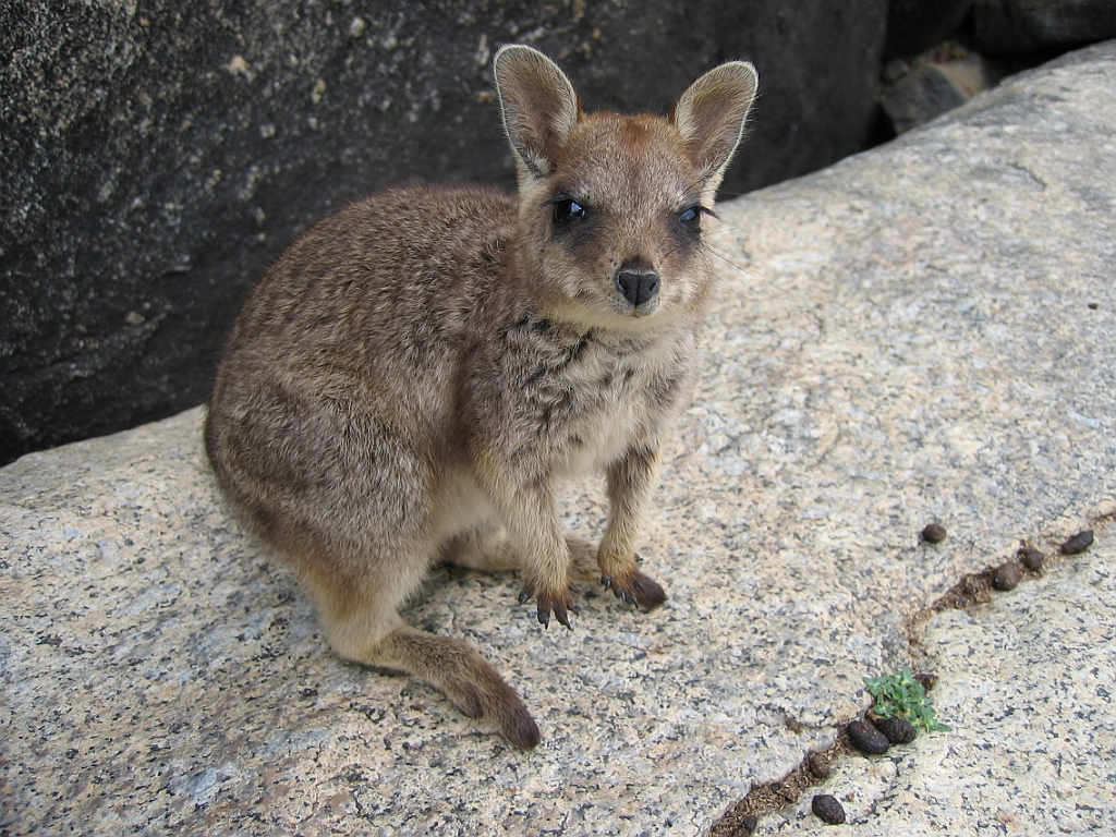 125 Granite Gorge.jpg